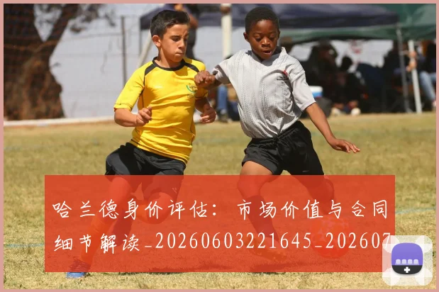 哈兰德身价评估：市场价值与合同细节解读_20260603221645_20260707012936